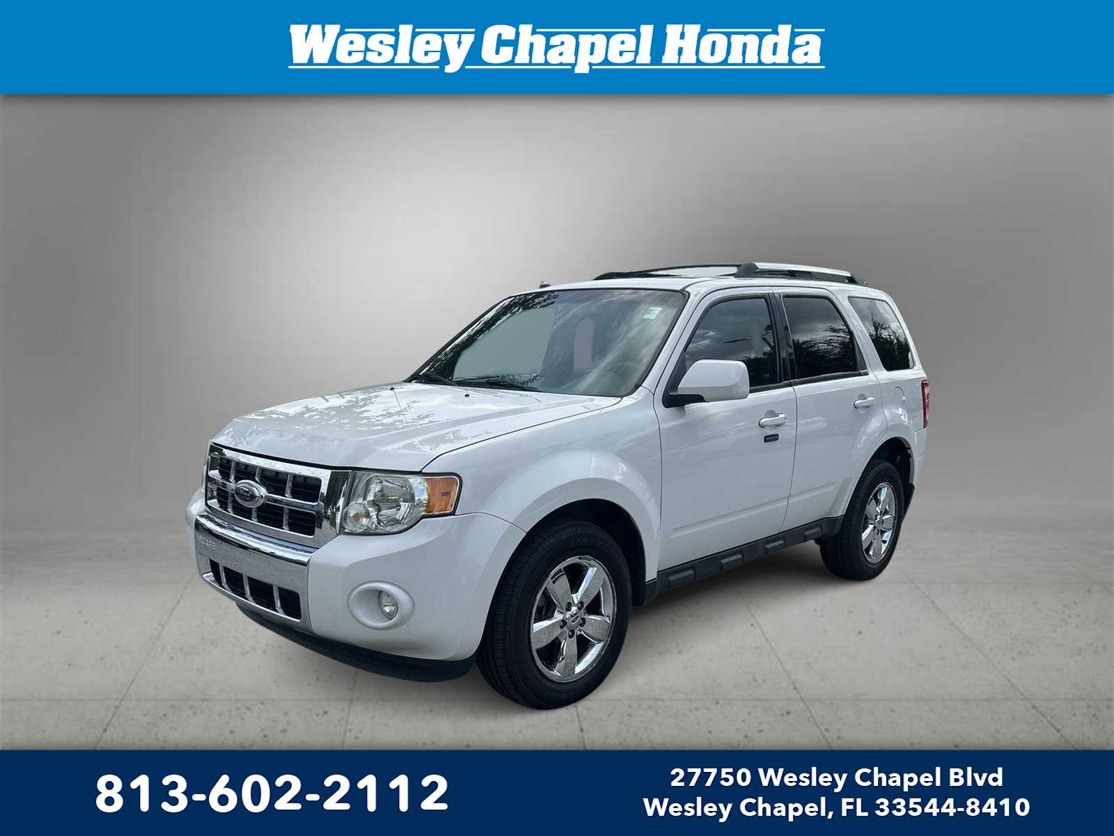 2009 Ford Escape Limited -
                  Wesley Chapel, FL