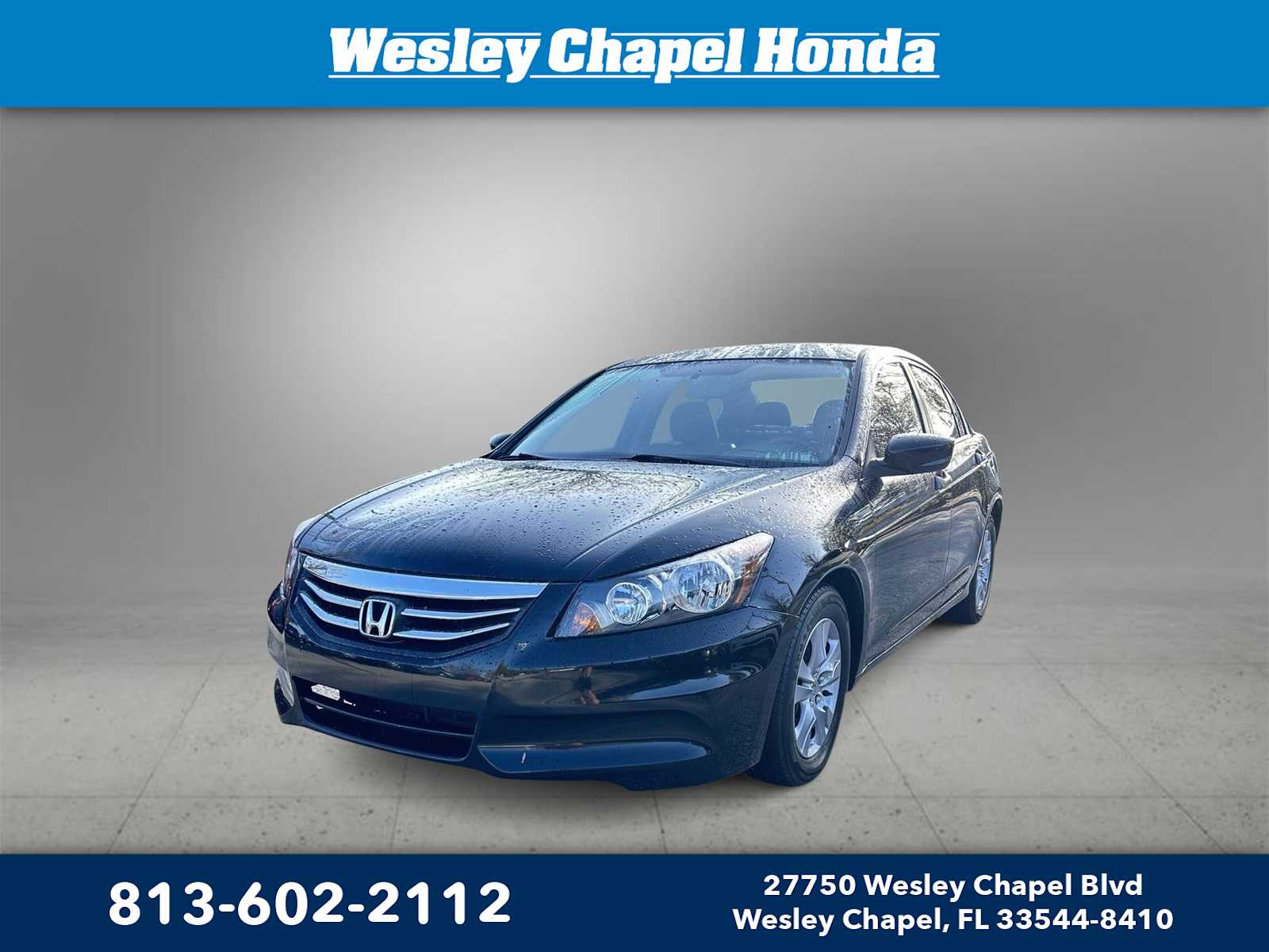 2012 Honda Accord SE -
                  Wesley Chapel, FL