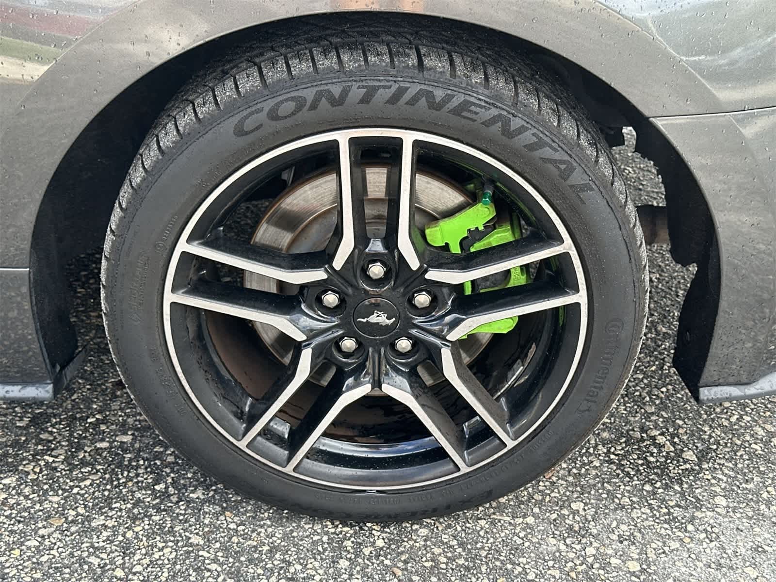 Thumbnail: 2015 Ford Mustang - 12