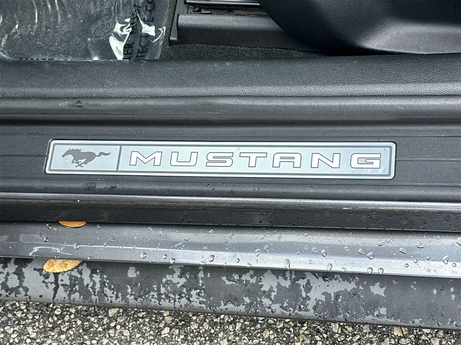 Thumbnail: 2015 Ford Mustang - 11