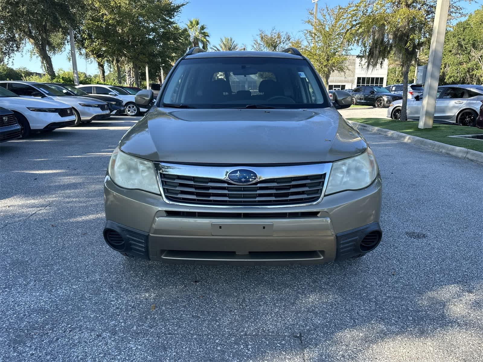Thumbnail: 2009 Subaru Forester - 9