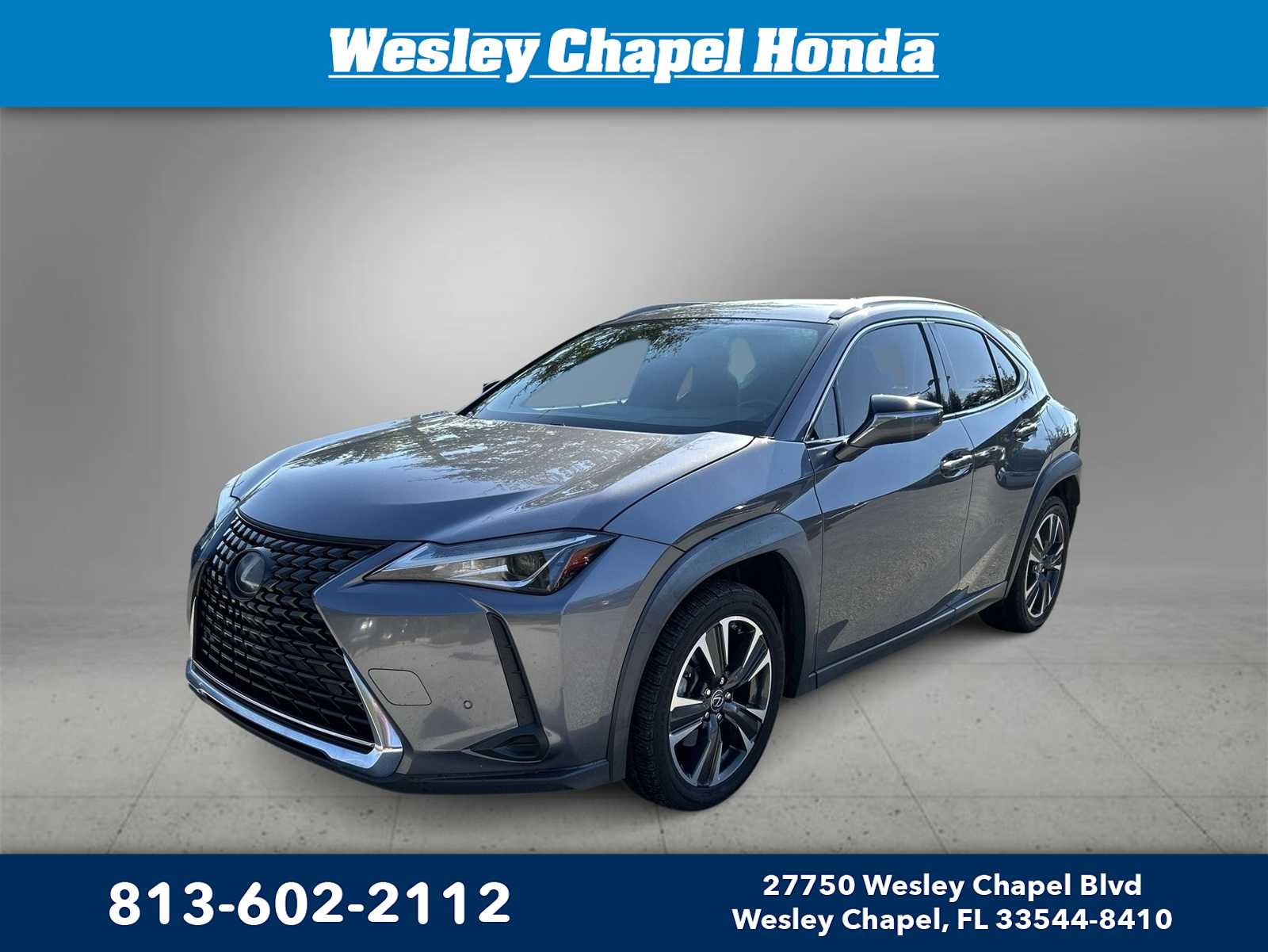 2019 Lexus UX 200 -
                  Wesley Chapel, FL