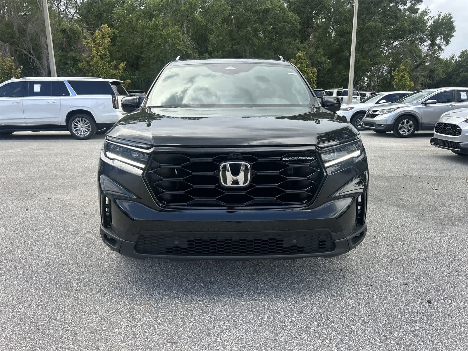 2025 Honda Pilot Black Edition 9