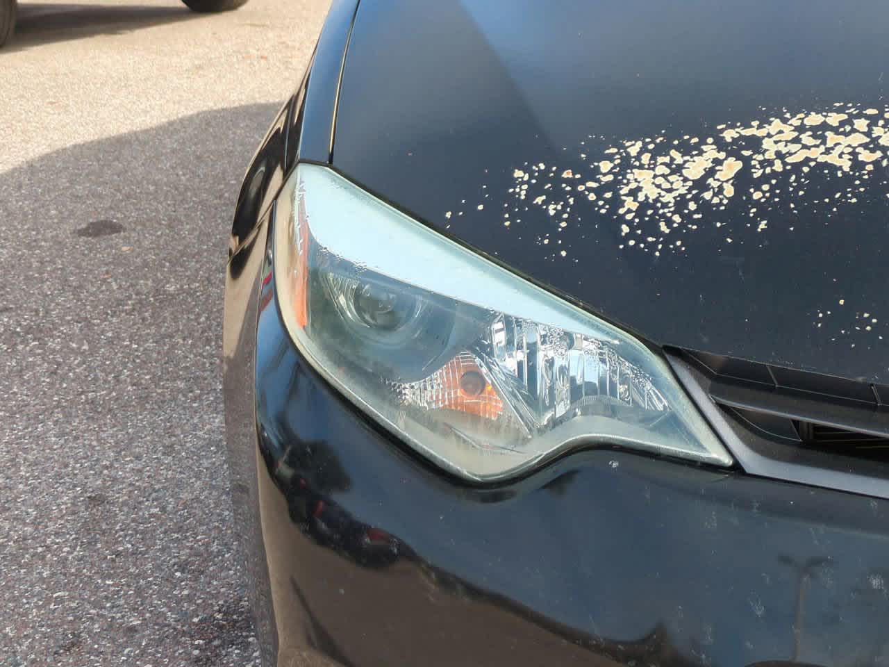 Thumbnail: 2015 Toyota Corolla - 10