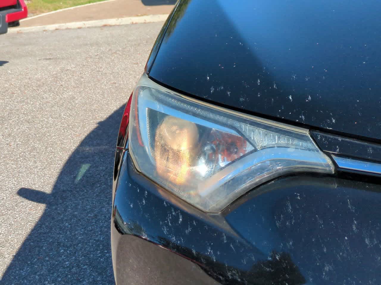 Thumbnail: 2016 Toyota RAV4 - 10