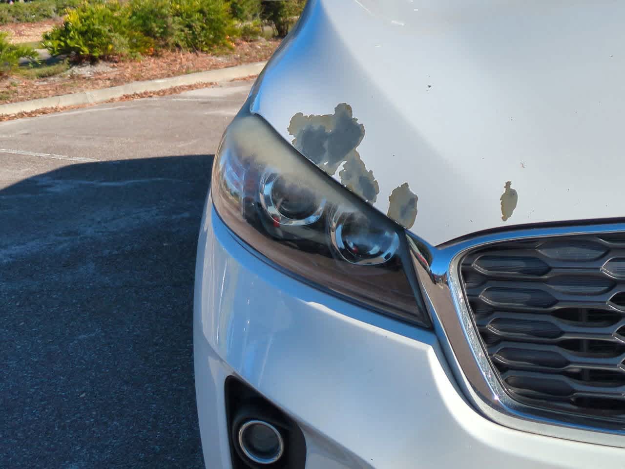 Thumbnail: 2019 Kia Sorento - 10