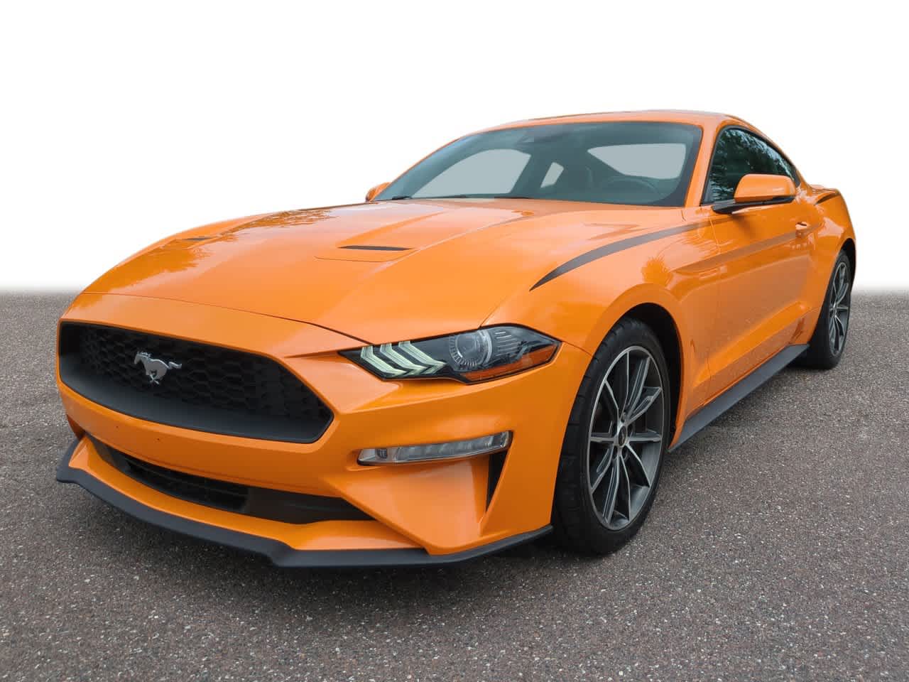 2019 Ford Mustang  -
                  Wesley Chapel, FL