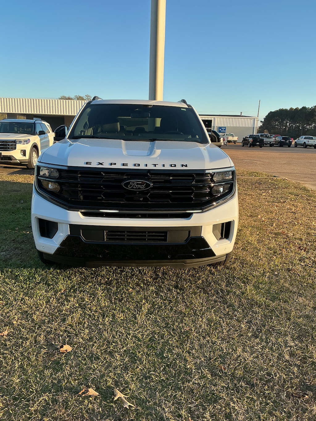 New 2025 Ford Expedition Platinum SUV