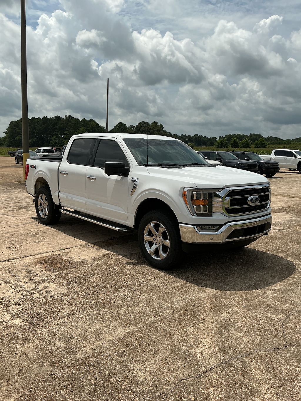 Used 2022 Ford F-150 XLT Crew Cab