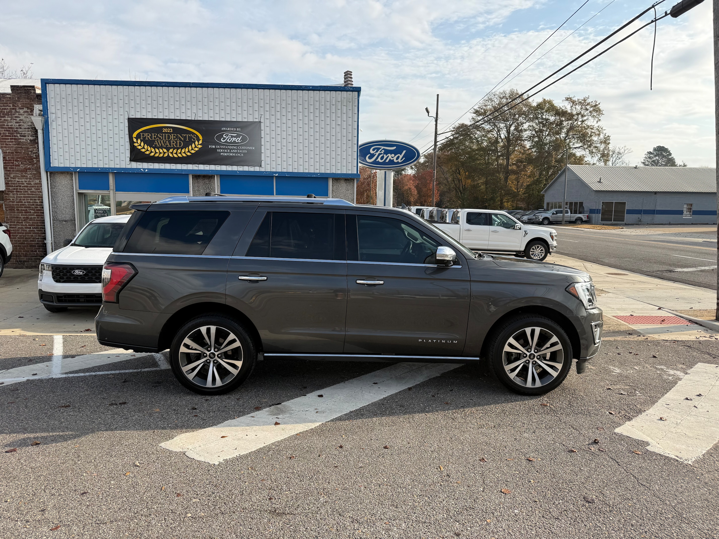 2020 Ford Expedition Platinum's photo
