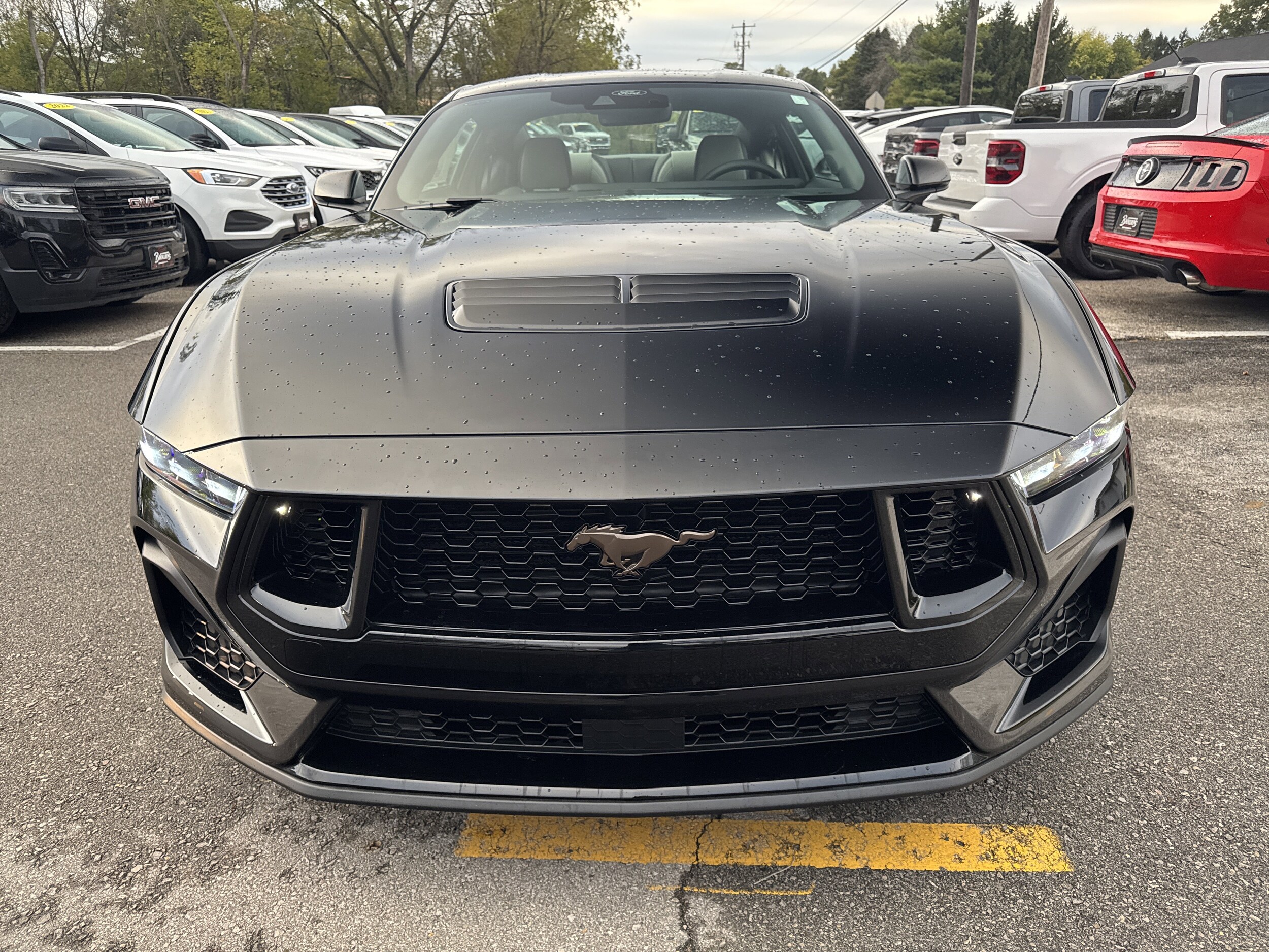 2025 Ford Mustang GT Premium photo 2