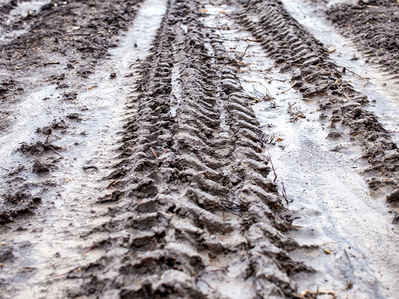 What Different Tire Options are Available at West Broad Volkswagen in Richmond | Tire Tracks Through Mud