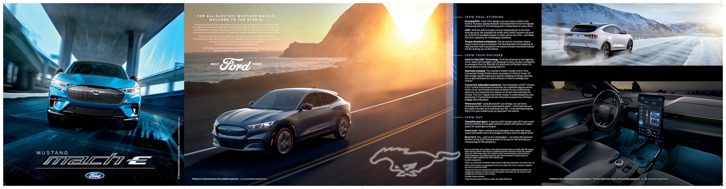 2021 Ford Mustang MACH-E Brochure