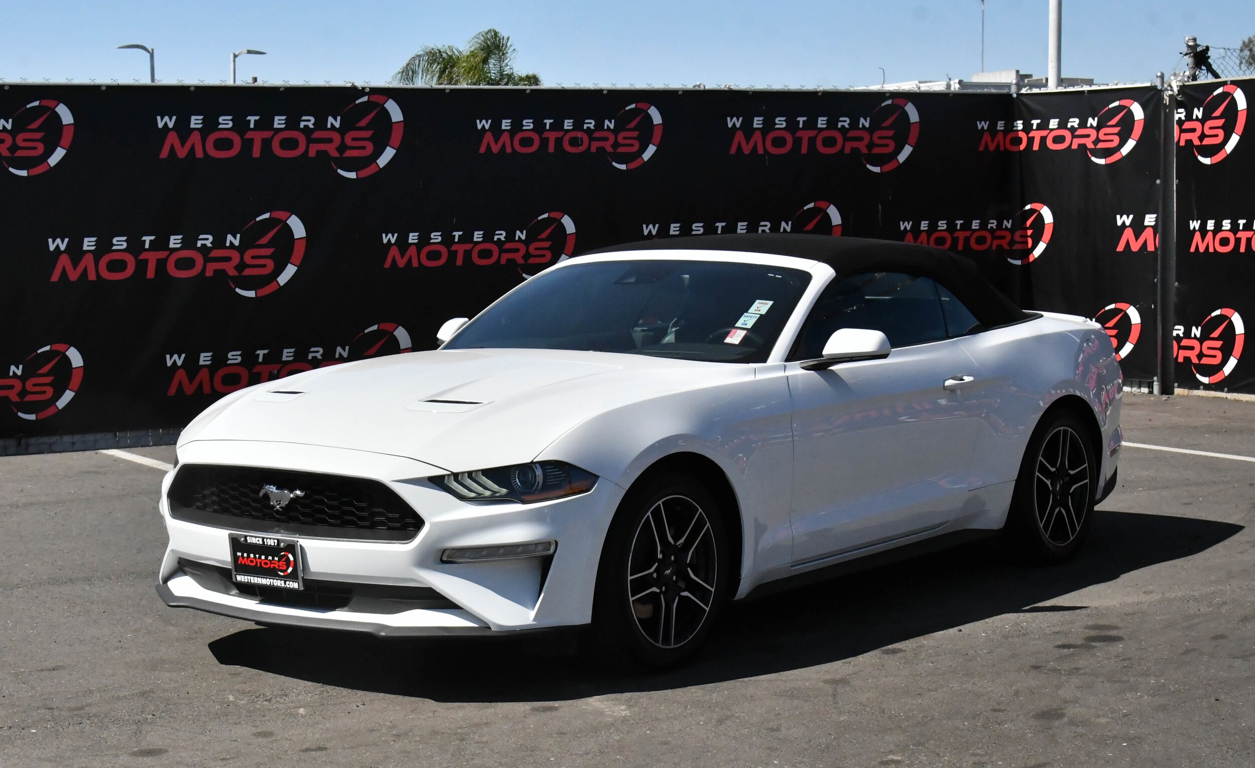 2023 Ford Mustang EcoBoost Premium Convertible photo 3