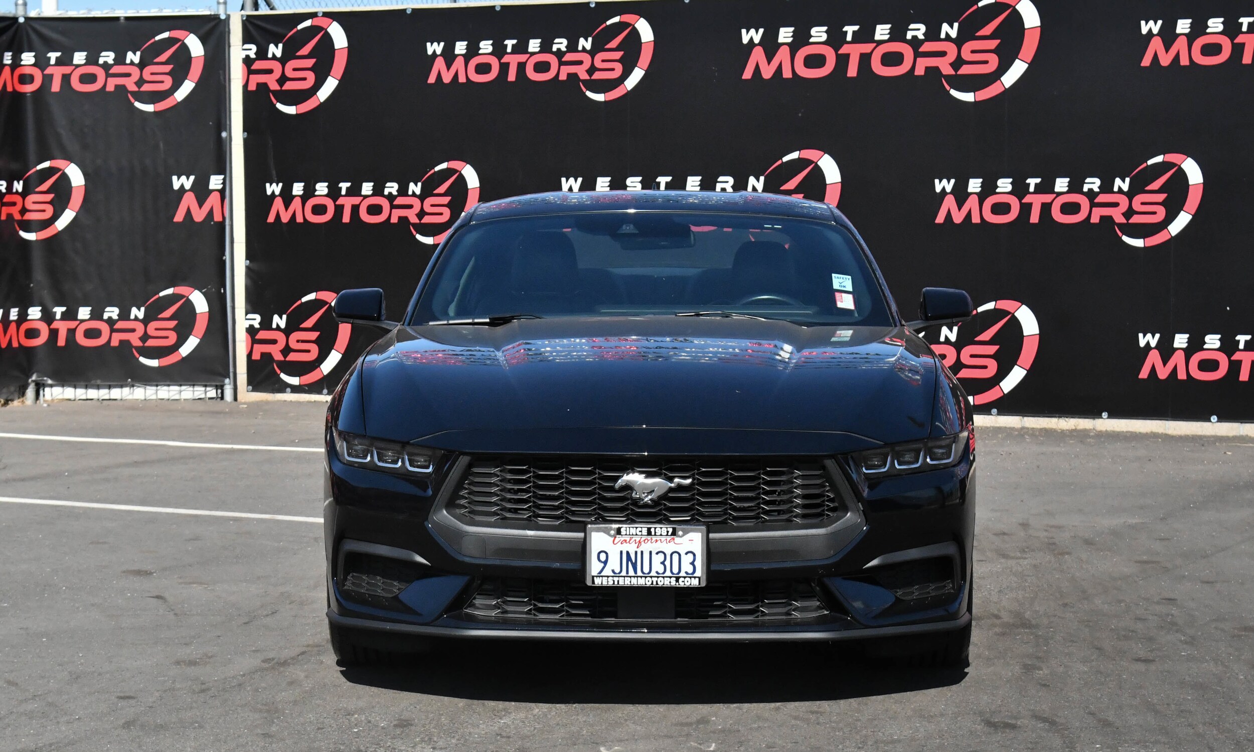 2024 Ford Mustang EcoBoost Premium photo 2
