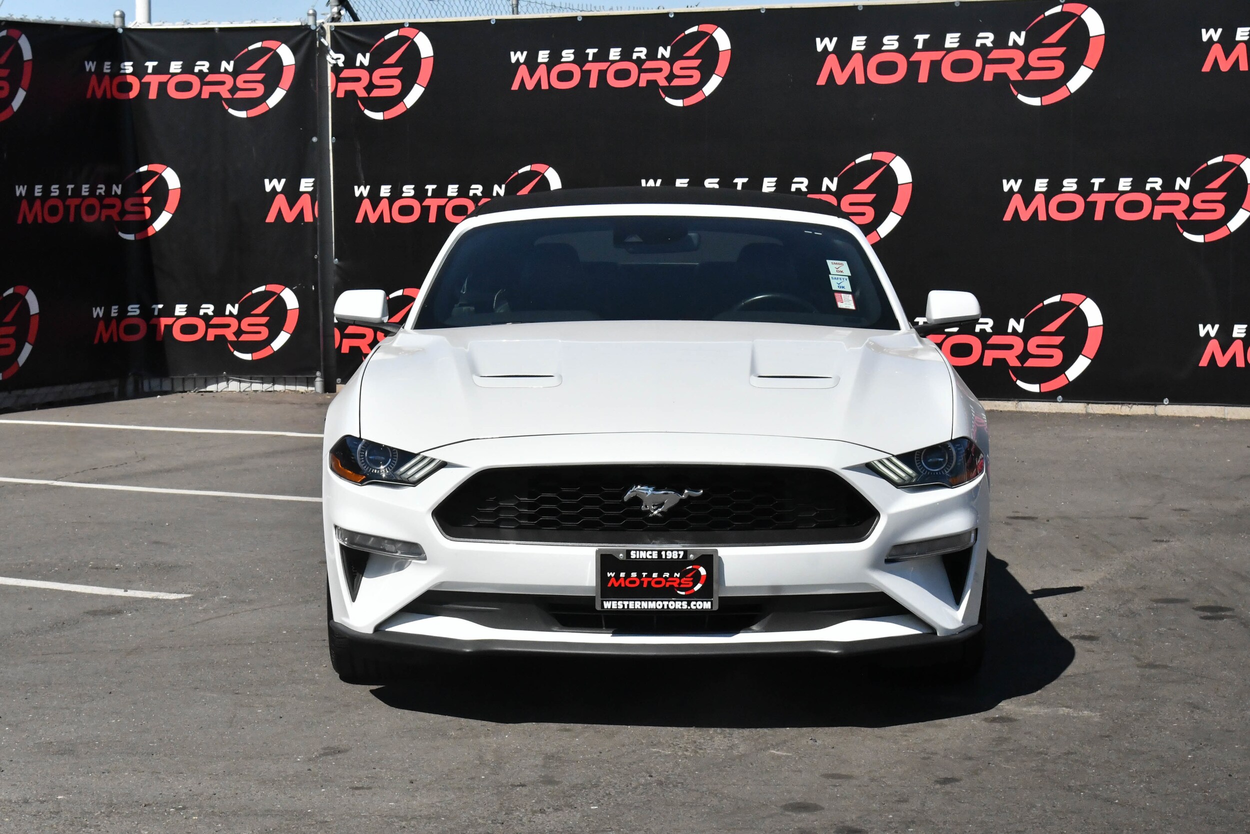 2023 Ford Mustang EcoBoost Premium Convertible photo 2
