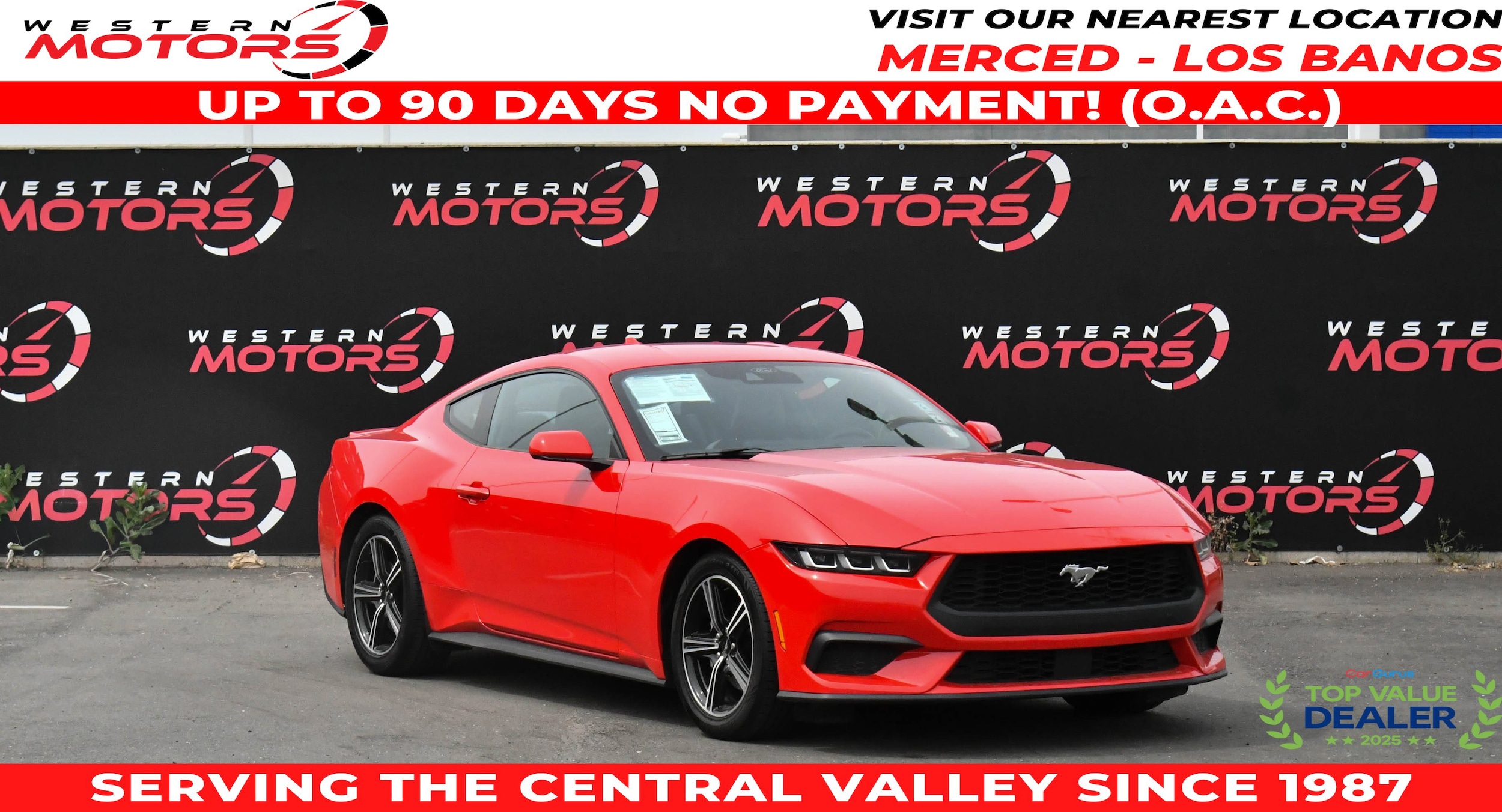 2024 Ford Mustang EcoBoost Premium Fastback's photo