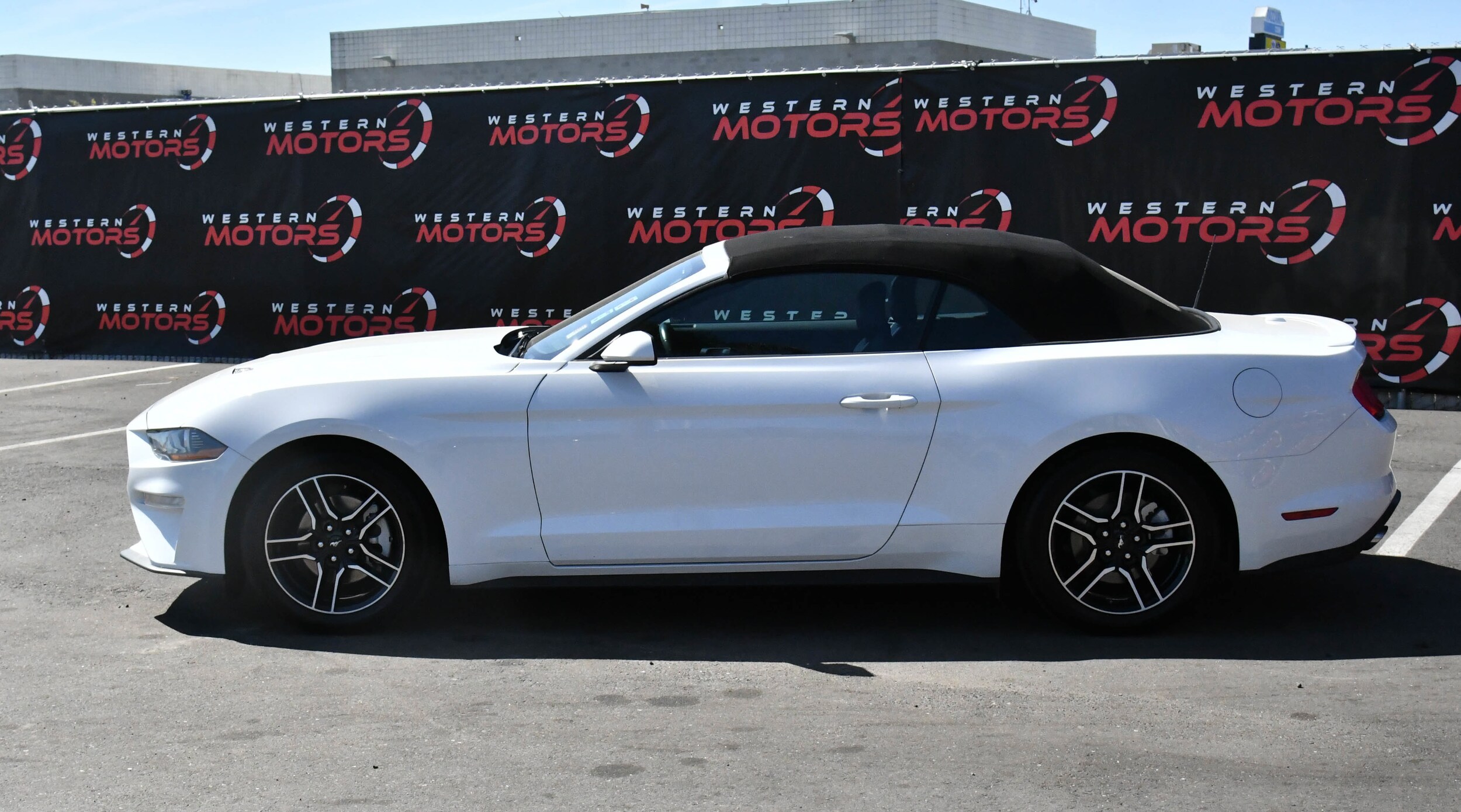 2023 Ford Mustang EcoBoost Premium Convertible photo 4
