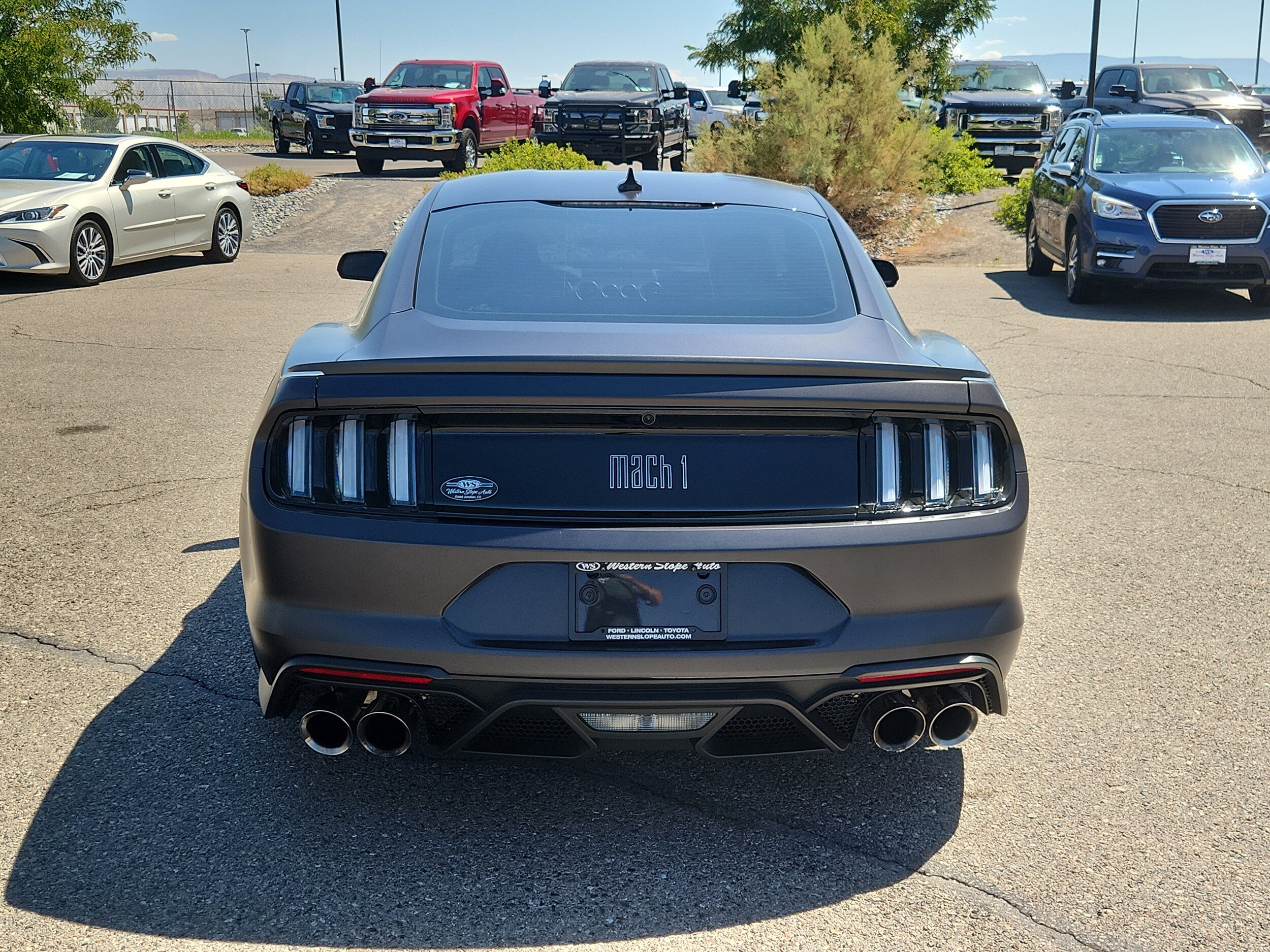 2022 Ford Mustang Mach 1 photo 4