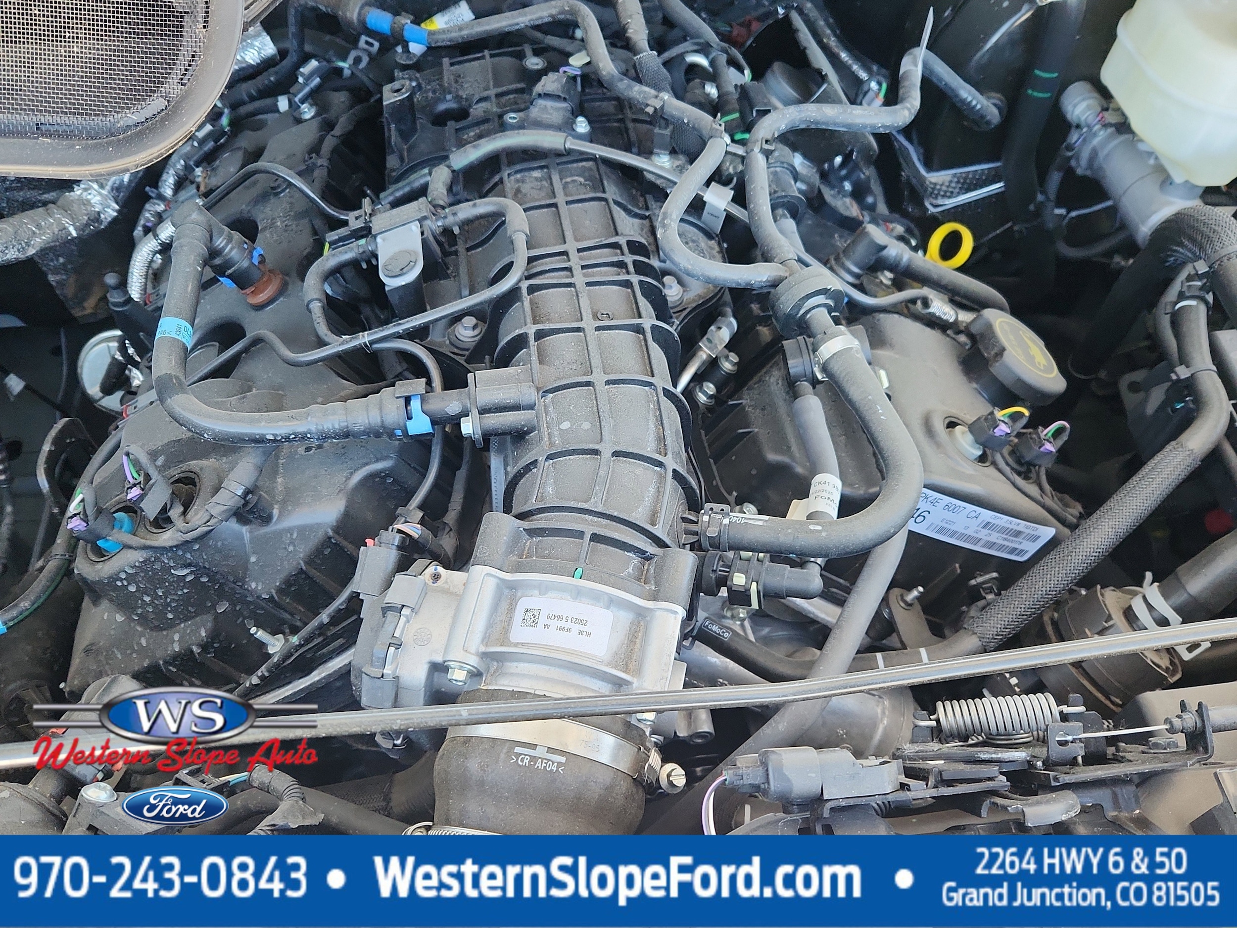 2025 Ford Transit Passenger Van XL - Photo 20