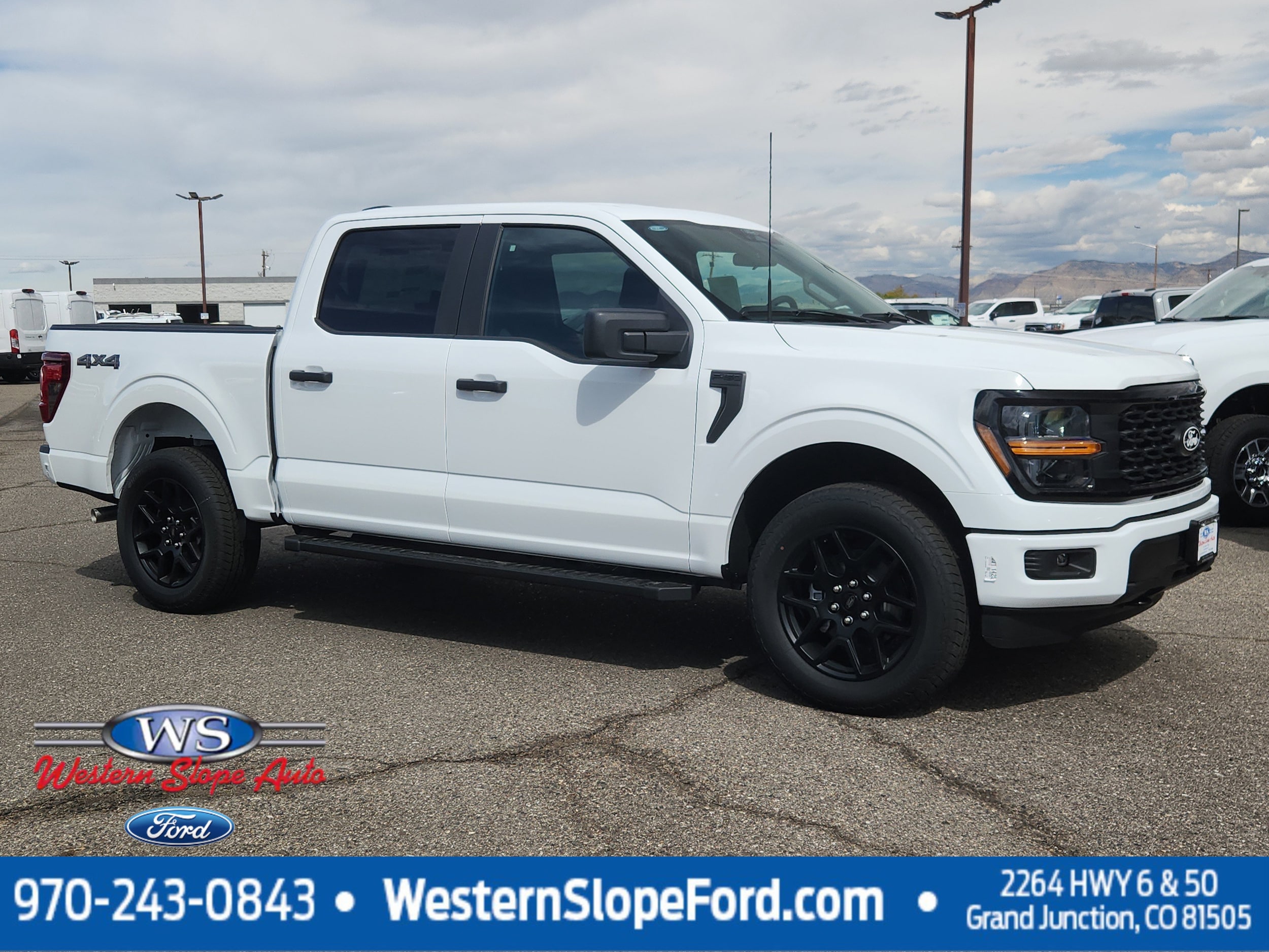 2025 Ford F-150 STX's photo