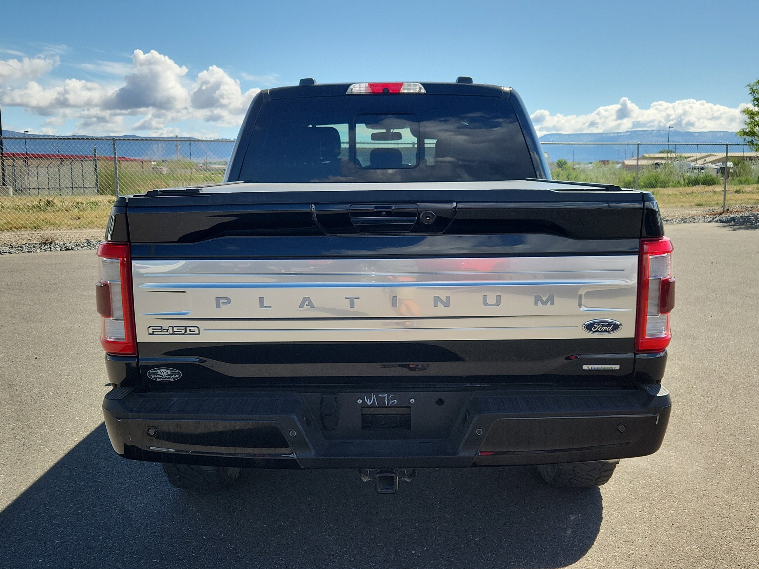2021 Ford F-150 Platinum photo 4
