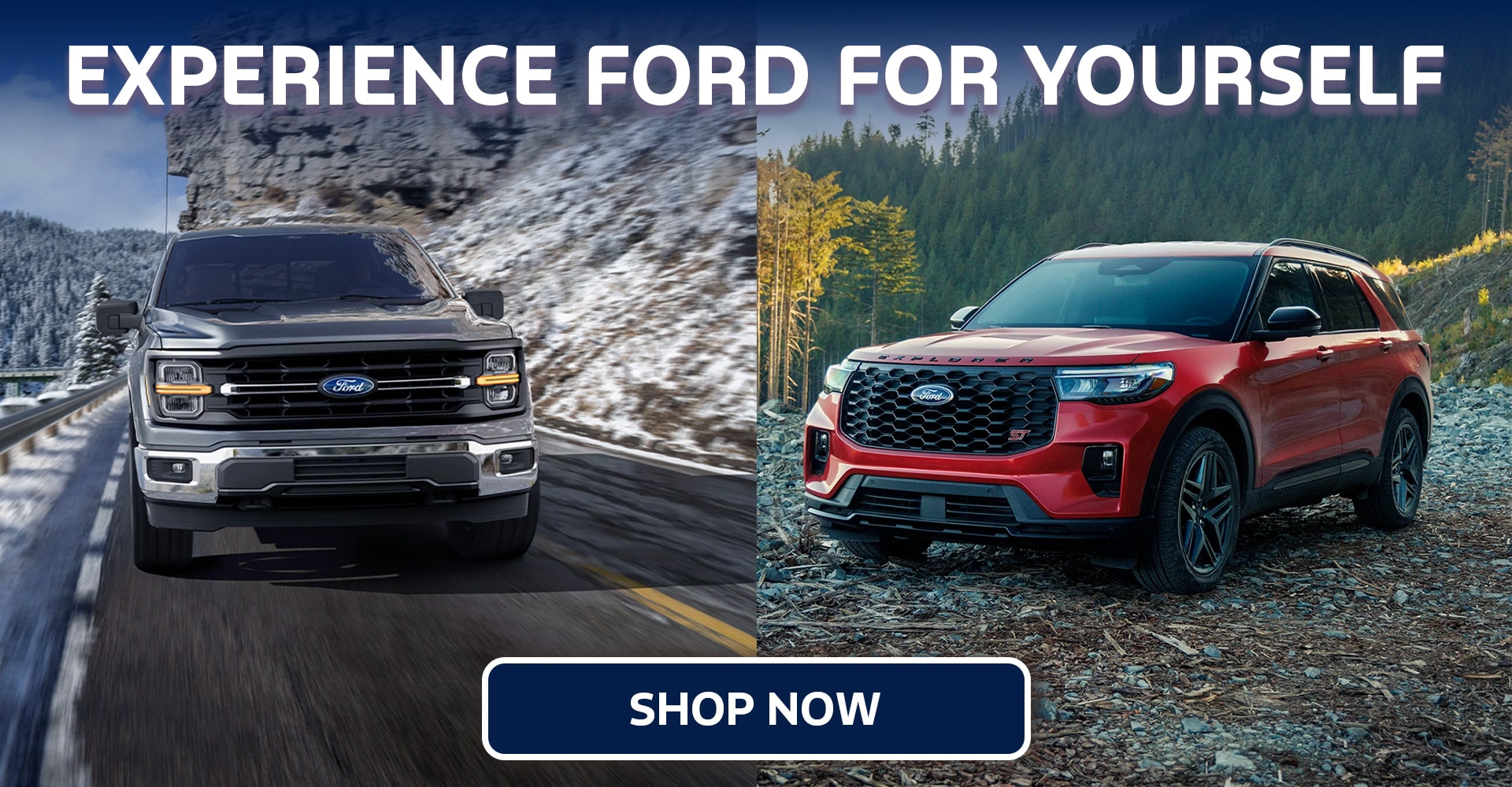 Ford Owner's Guide