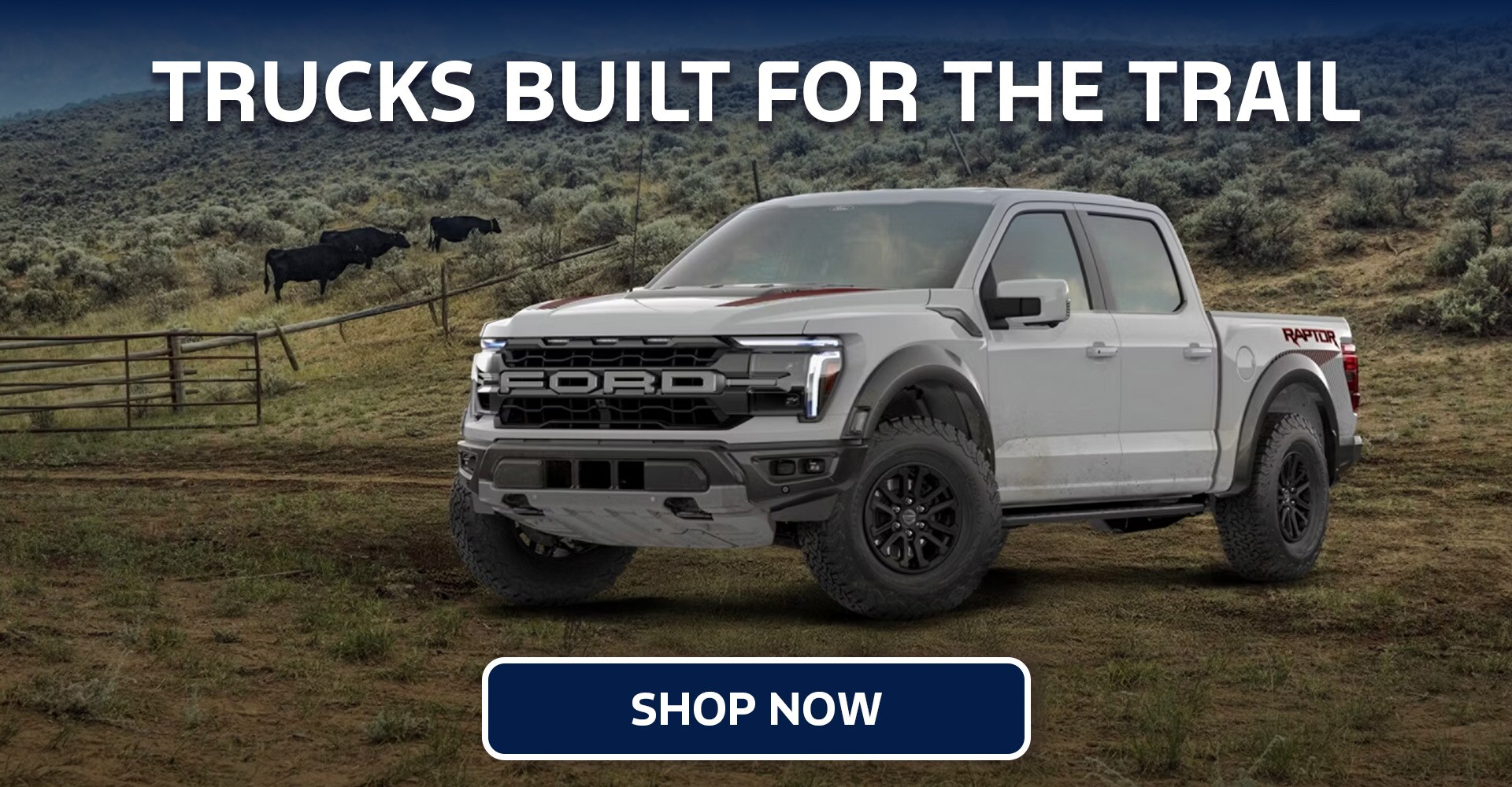 ford f150 off road