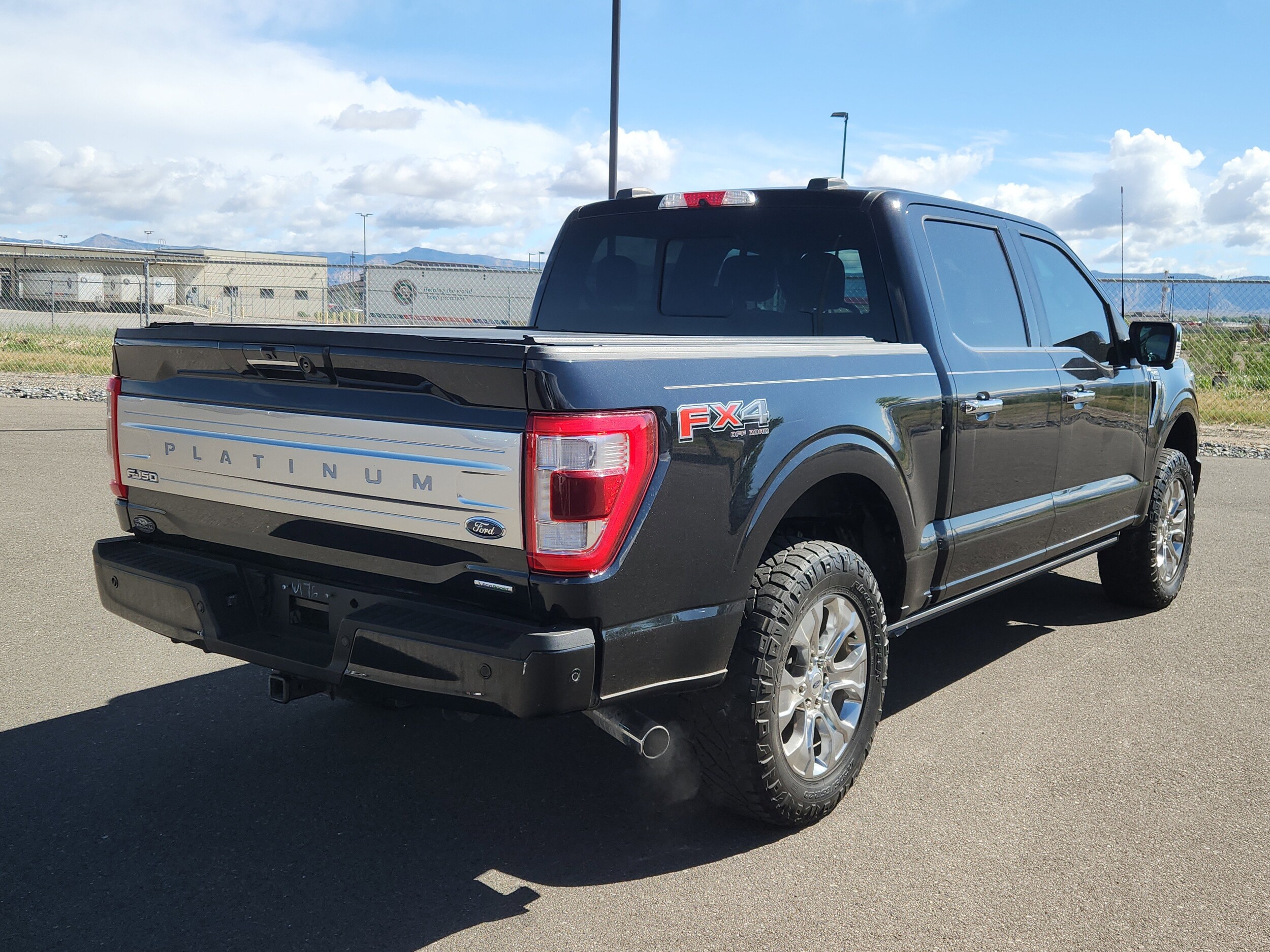 2021 Ford F-150 Platinum photo 3
