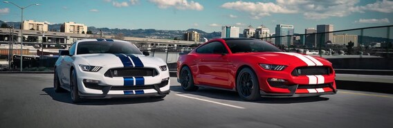 Ford Bullitt Mustang Vs Mustang Gt Comparison Of Power