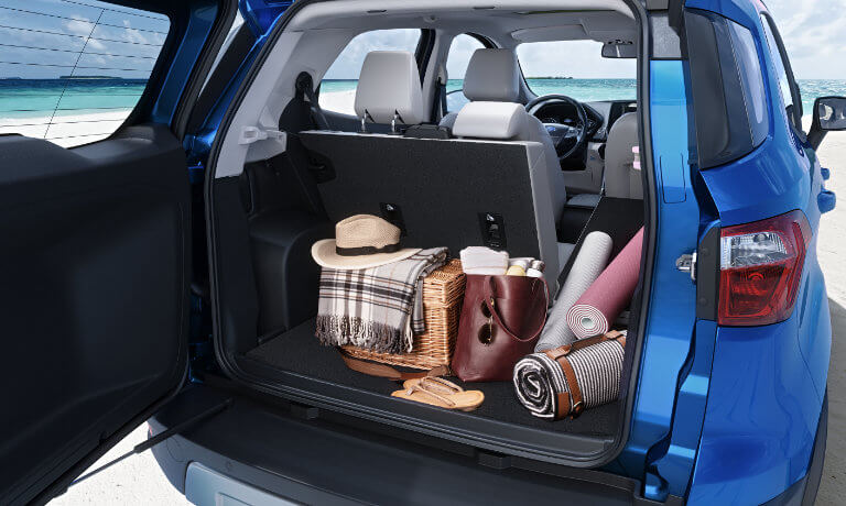 2021 Ford EcoSport interior cargo space