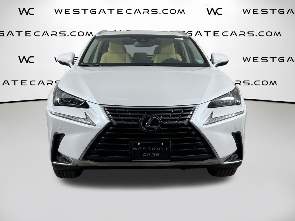 2019 Lexus NX 300h Luxury photo 2