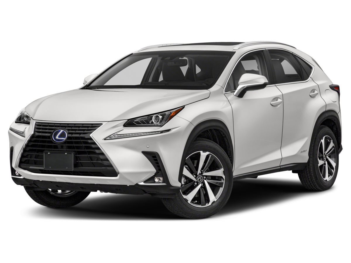 2019 Lexus NX 300 F SPORT photo 2