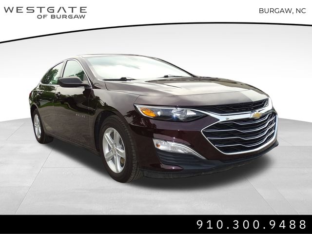 2020 Chevrolet Malibu's photo