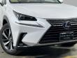 2019 LEXUS NX 300h SUV