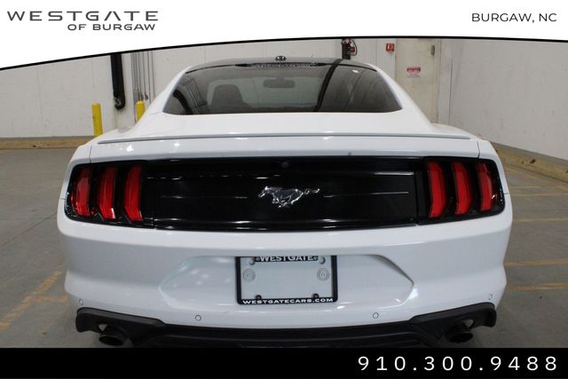 2020 Ford Mustang EcoBoost photo 4