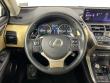 2019 LEXUS NX 300h SUV