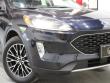 2021 Ford Escape PHEV SEL SUV