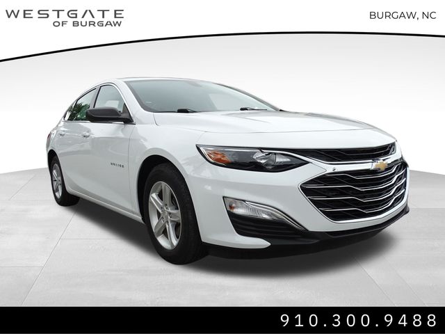 2020 Chevrolet Malibu 1LS's photo