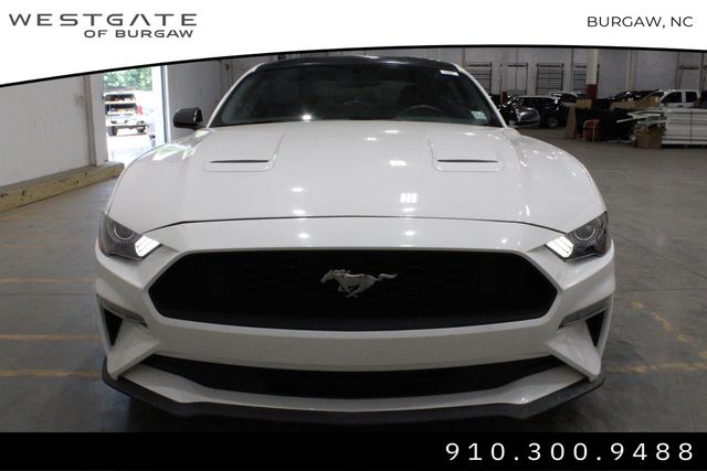2020 Ford Mustang EcoBoost photo 2