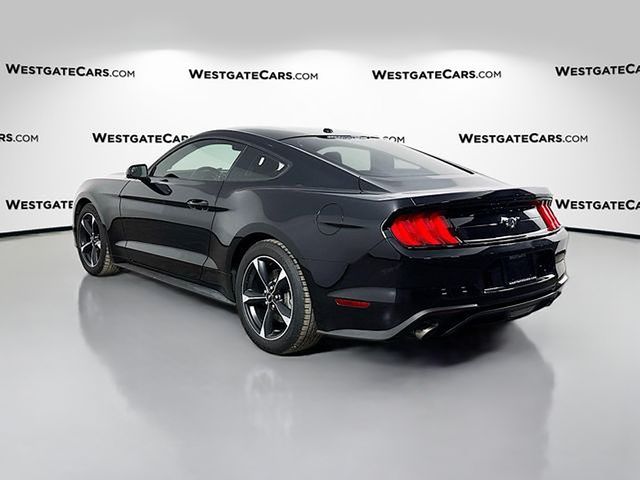 2019 Ford Mustang EcoBoost photo 3