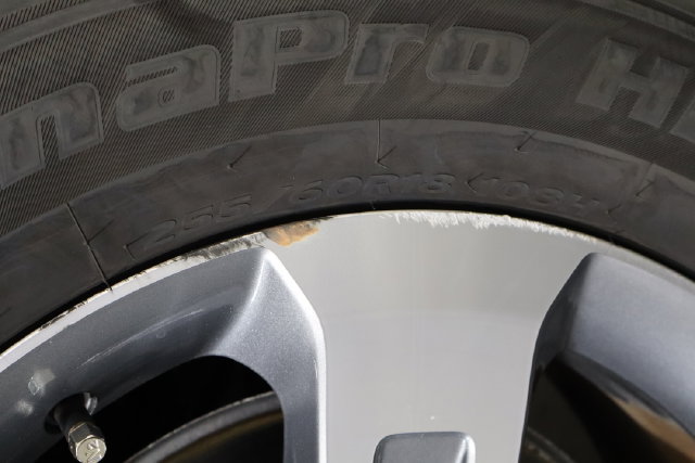 Photo 41