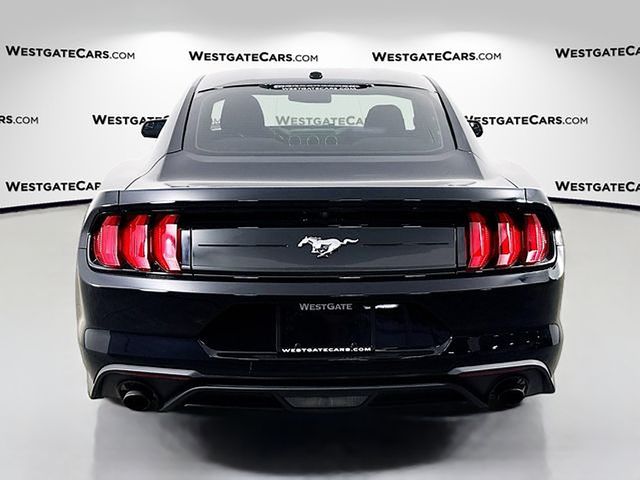 2019 Ford Mustang EcoBoost photo 4