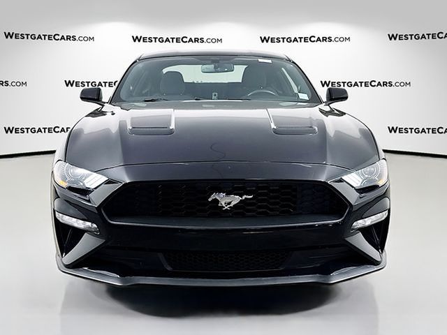 2019 Ford Mustang EcoBoost photo 2