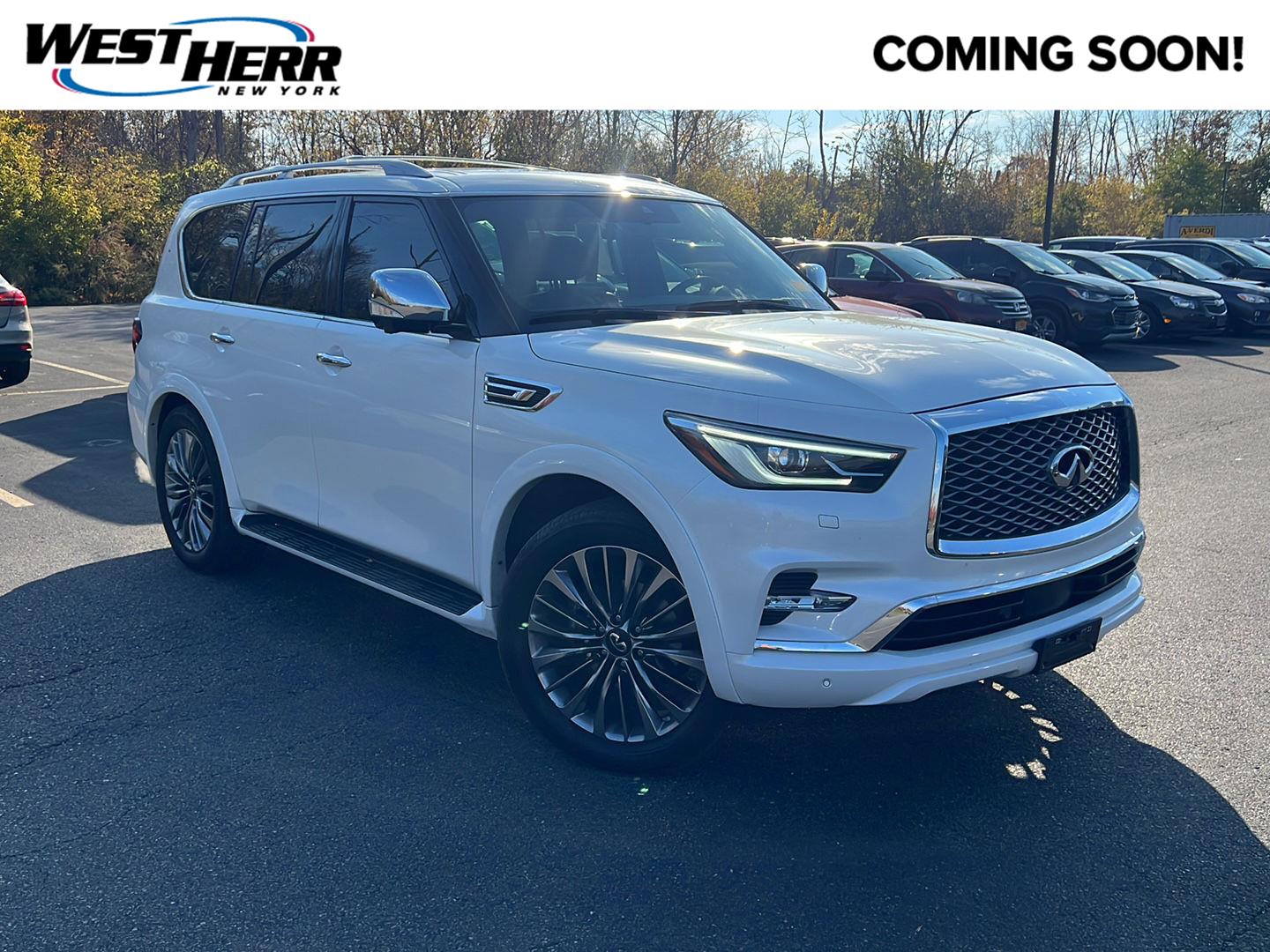  INFINITI QX80
