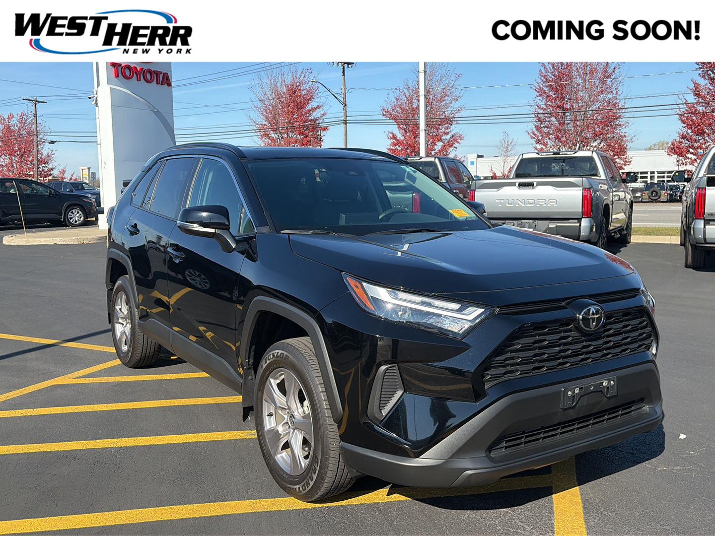 Certified 2025 Toyota RAV4 XLE SUV