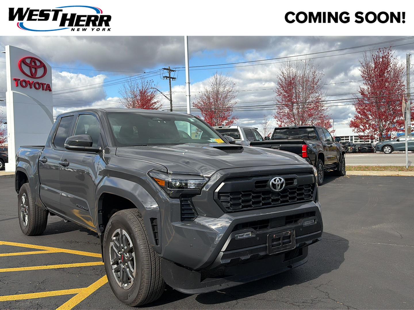 Certified 2024 Toyota Tacoma TRD Sport Truck