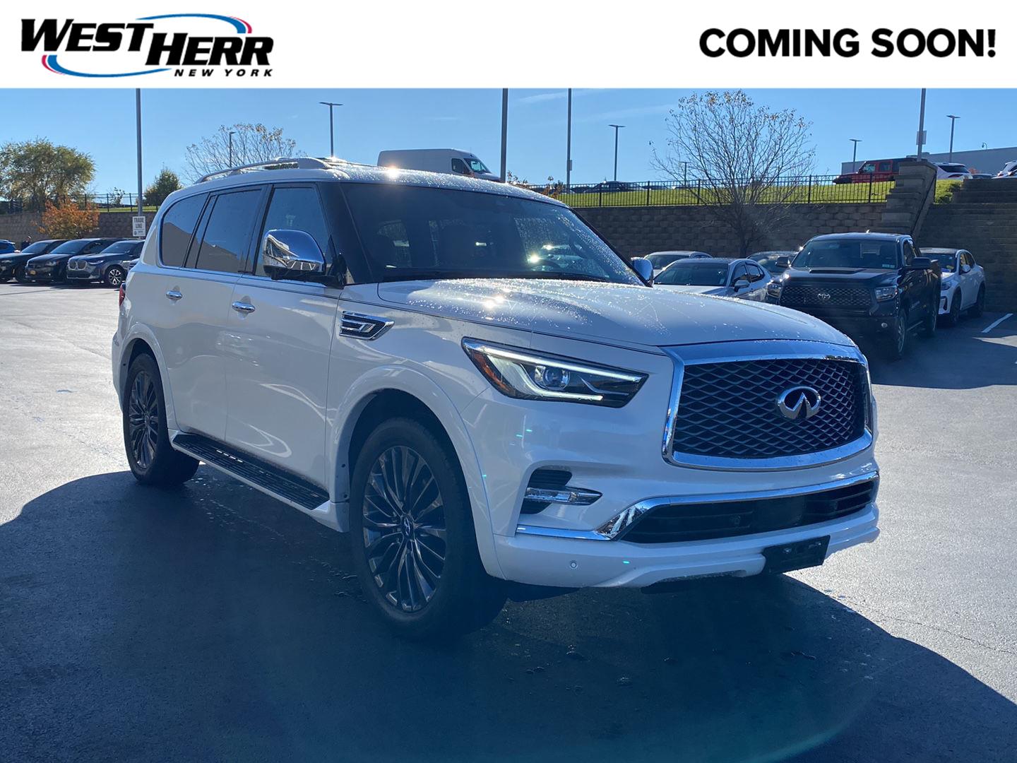  INFINITI QX80