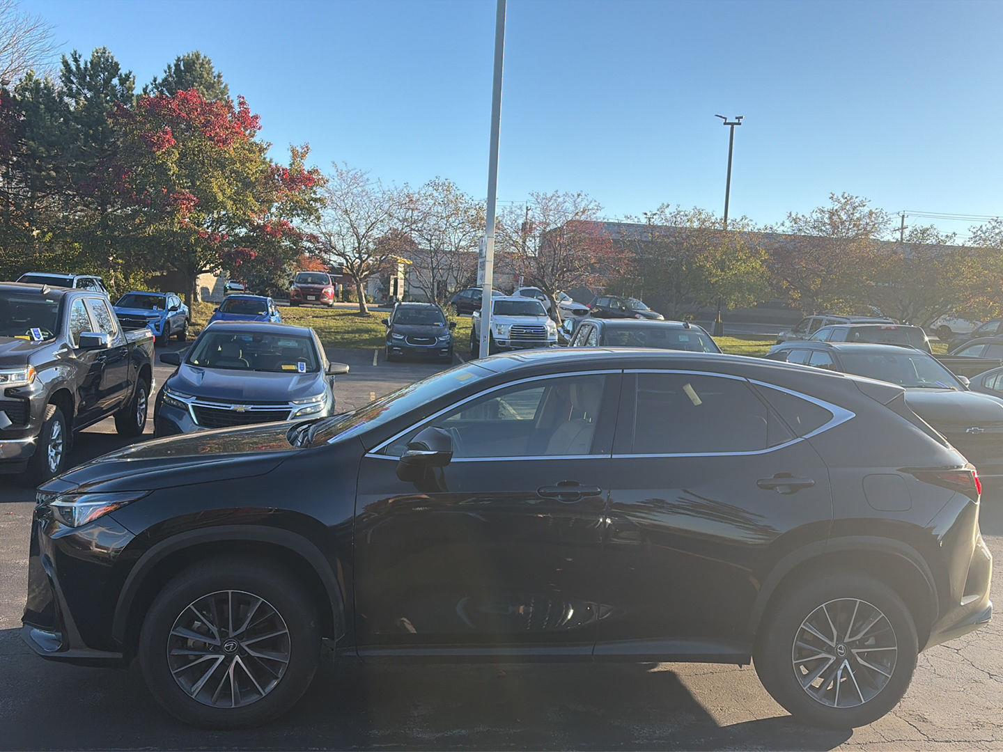 Used 2024 Lexus NX NX 350 Premium SUV