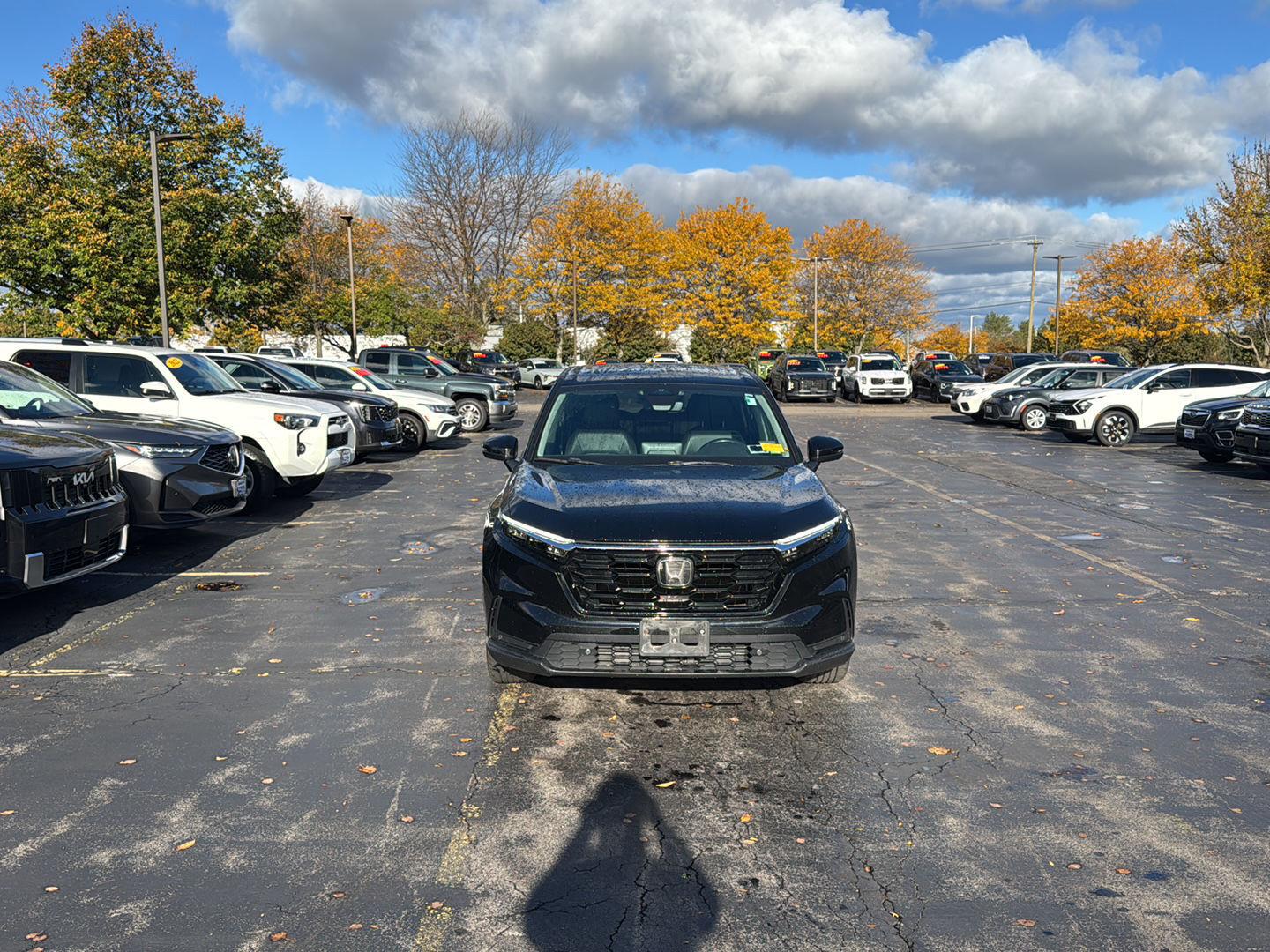 Used 2024 Honda CR-V EX-L SUV